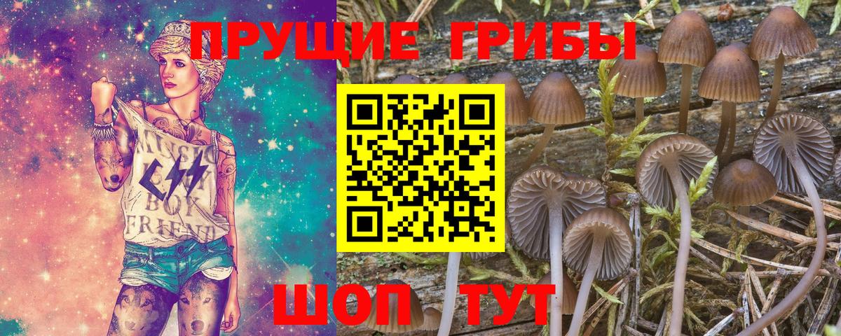 Городец  Галлюциногенные грибы прущие грибы  Вход с VPN 